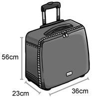 1 cabin baggage