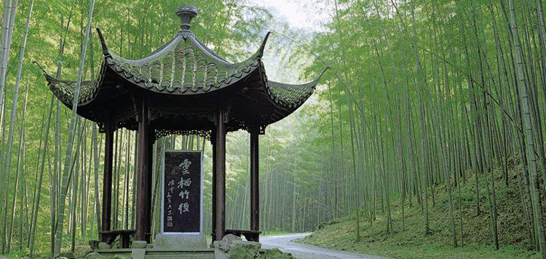 Bamboo-lined Path at Yunqi, Hangzhou