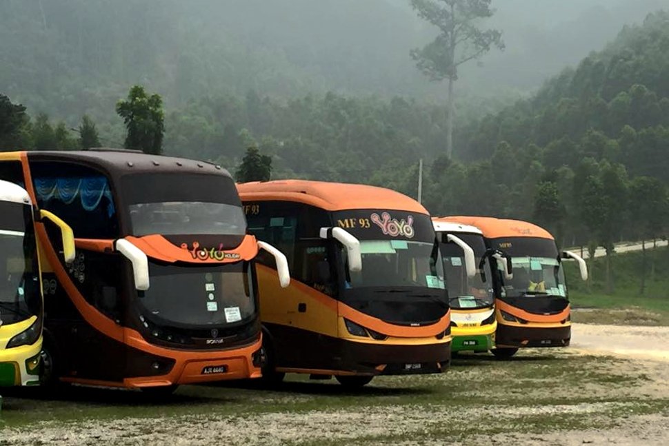 Fleet of YoYo Buses
