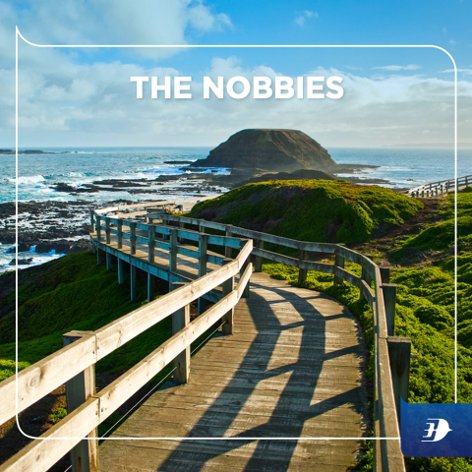 The Nobbies