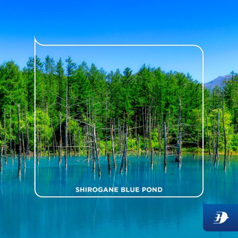 Shirogane Blue Pond