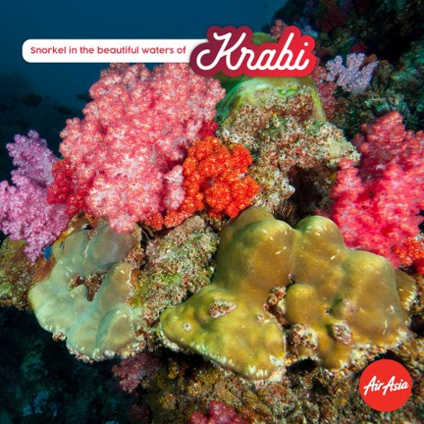 Snorkel in the beautiful waters of Krabi
