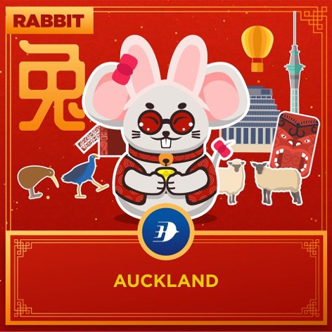 Rabbit - Auckland