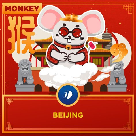 Monkey - Beijing