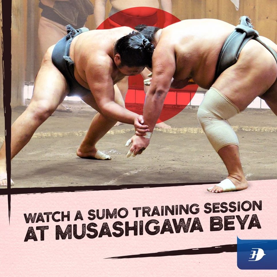 Watch a sumo training session at Musashigawa Beya