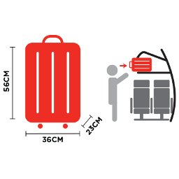 Baggage information for AirAsia flights – cabin baggage, checked baggage, duty free goods, sports equipment