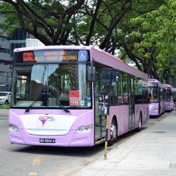 GoKL City Bus, free city bus in Kuala Lumpur district, Green, Purple, Red, Blue, Orange, Pink, Turquoise, Maroon, Chocolate, Parrot-Green, and Grey Line routes