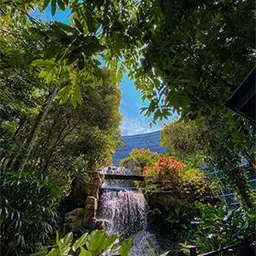 This hidden Jungle Boardwalk in KLIA lets you relax & unwind