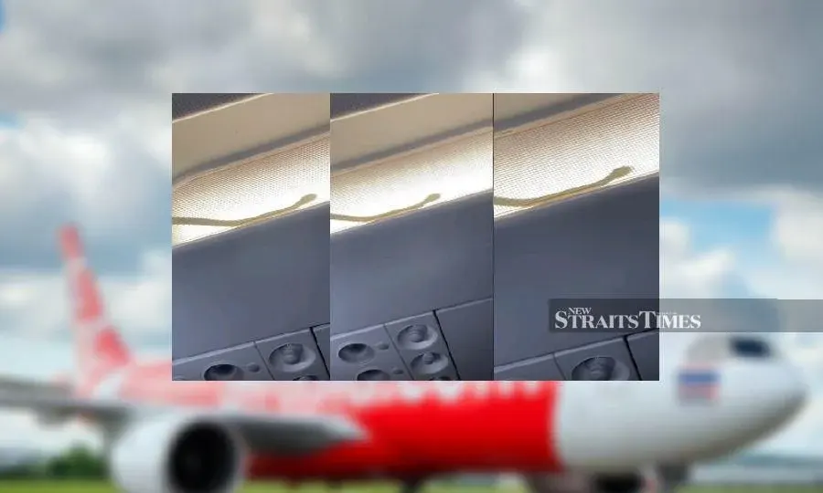 This photocombination made from a viral video shows a snake onboard AirAsia Flight AK5748.