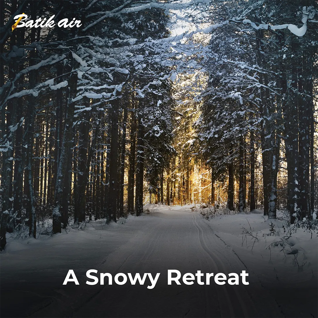 A Snowy Retreat
