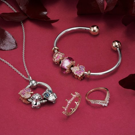 Show off your stories and the things you love with brand new nature-inspired charms finished in Pandora Rose.