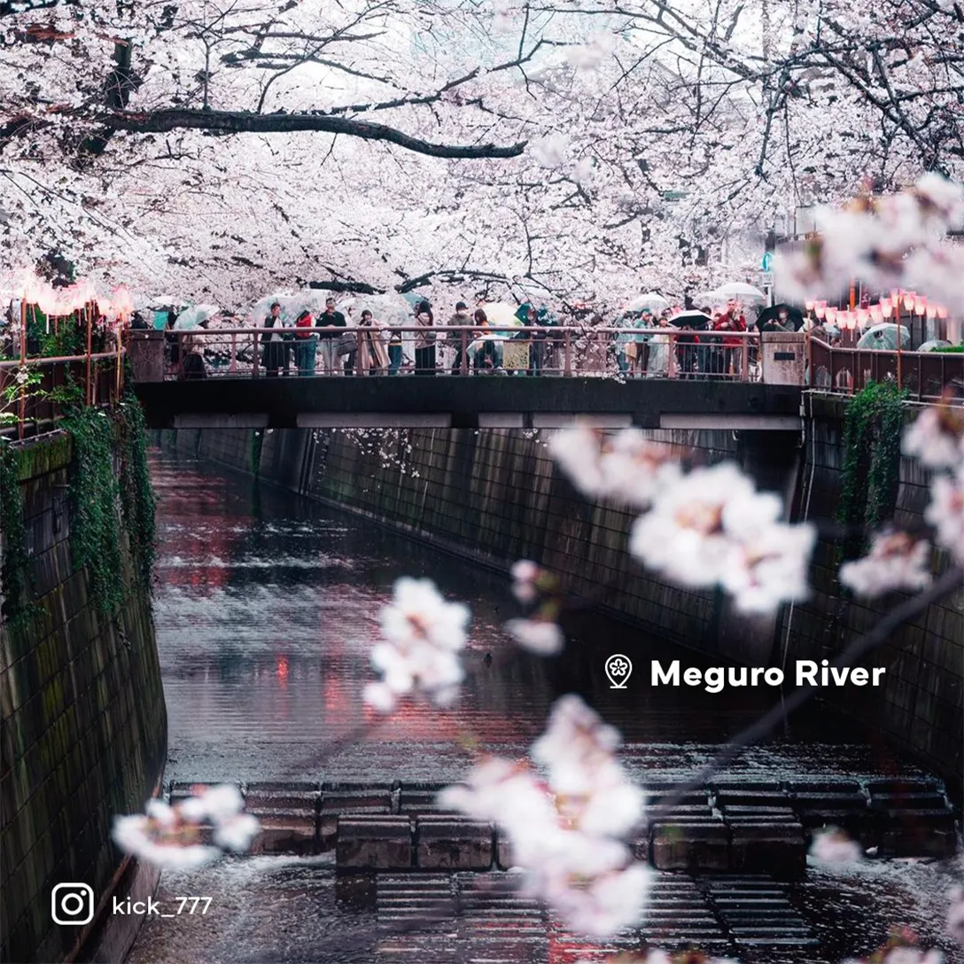 Meguro River