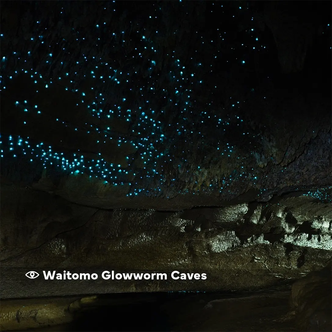 Waitome Glowworm Caves