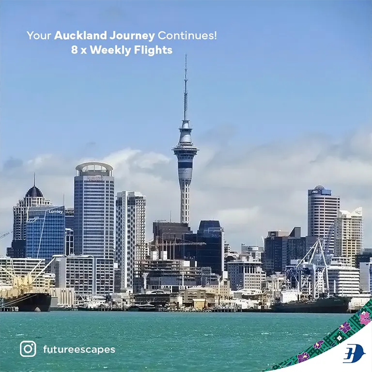 Your Auckland Journey Continues!